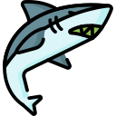 shark icon